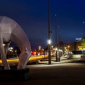 Paard van ome Loeks station Groningen van Marcel Braam