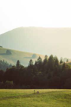 Landscape in the Black Forest by Veri Gutte