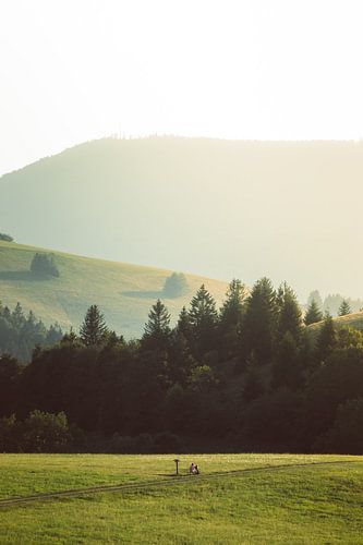 Landschaft im Schwarzwald