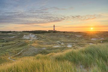 Uitzicht over de duinen naar de vuurtoren op Amrum van Michael Valjak