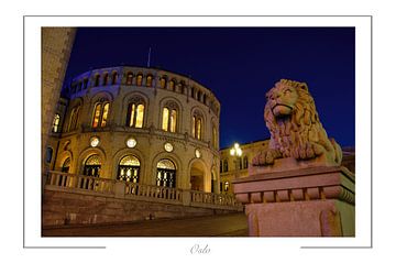 Stortinget, von Richard Wareham