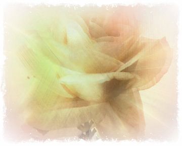 Roses Dream von Nicky`s Prints