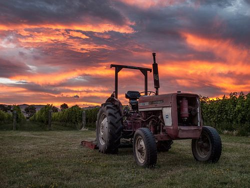 Tracteur au coucher du soleil à Blenheim, Nouvelle-Zélande
