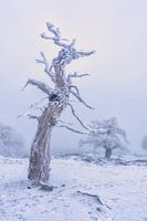Sneeuw in het zuiden van Spanje