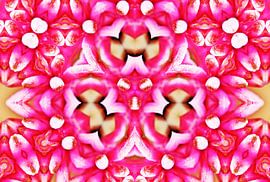 dekoratives florales digitales kaleidoskope von Werner Lehmann