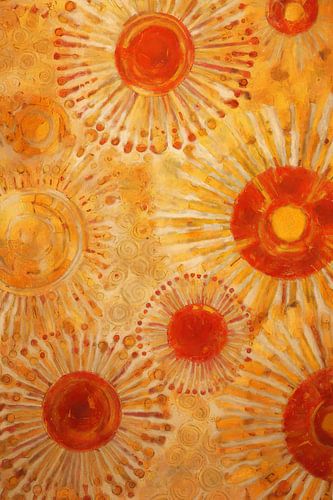 Radiant summer flowers