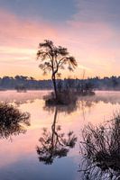 Een mystieke zonsopkomst.