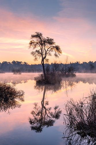 A mystical sunrise. by Jacqueline de Groot