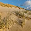 Les dunes d'Ameland sur Ron Buist