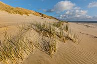 Les dunes d'Ameland par Ron Buist Aperçu