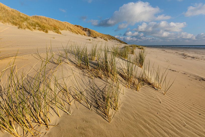 Les dunes d'Ameland par Ron Buist