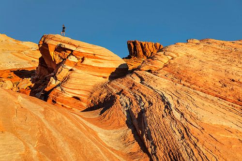 Fire Wave, Valley of Fire State Park, Nevada, USA