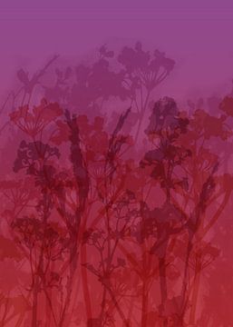 Art botanique abstrait. Fleurs de prairie sur dégradé de chocolat violet. sur Dina Dankers