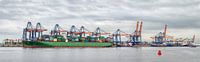 Panorama des Euromax-Containerterminals im Yangtzehaven im Hafen von Rotterdam von Sjoerd van der Wal Fotografie Miniaturansicht