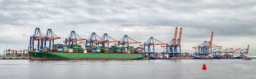 Panorama des Euromax-Containerterminals im Yangtzehaven im Hafen von Rotterdam von Sjoerd van der Wal Fotografie