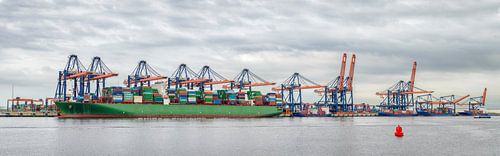 Haven Rotterdam Panorama
