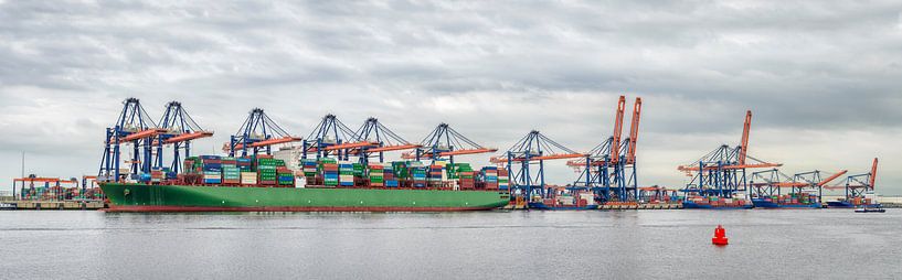 Panorama du terminal à conteneurs Euromax dans le Yangtzehaven dans le port de Rotterdam par Sjoerd van der Wal Photographie