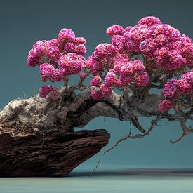 Bonsai auf Holz mit rosa blühendem Panorama von Digitale Schilderijen