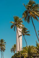 Palme und Leuchtturm am Himmel | Brasilien | Reisefotografie