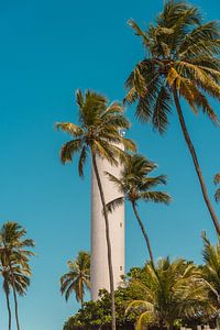 Palmboom en vuurtoren in de lucht | brazilië | reisfotografie van Lisa Bocarren