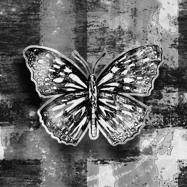 black and white butterfly by Emiel de Lange