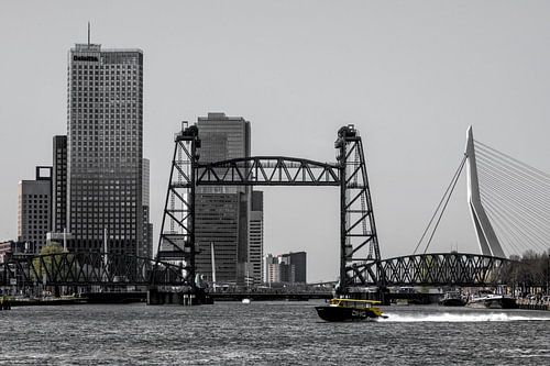3 Rotterdam bridges (colour)
