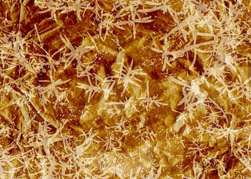 Botanische Echo. Abstract natuurpatroon in terracotta. van Dina Dankers