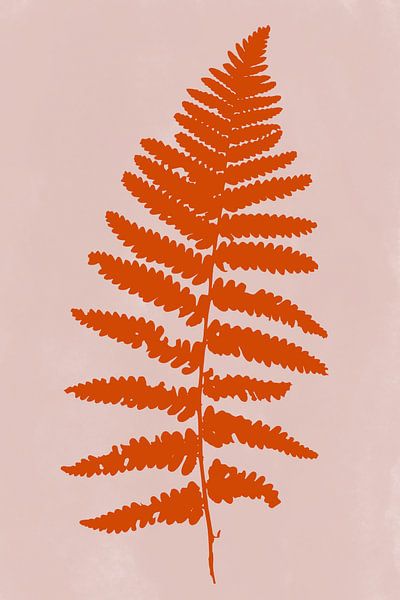 Modern botanical art. Fern in terracotta red on pink by Dina Dankers