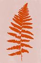 Moderne botanische kunst. Varen in terracotta rood op roze van Dina Dankers thumbnail