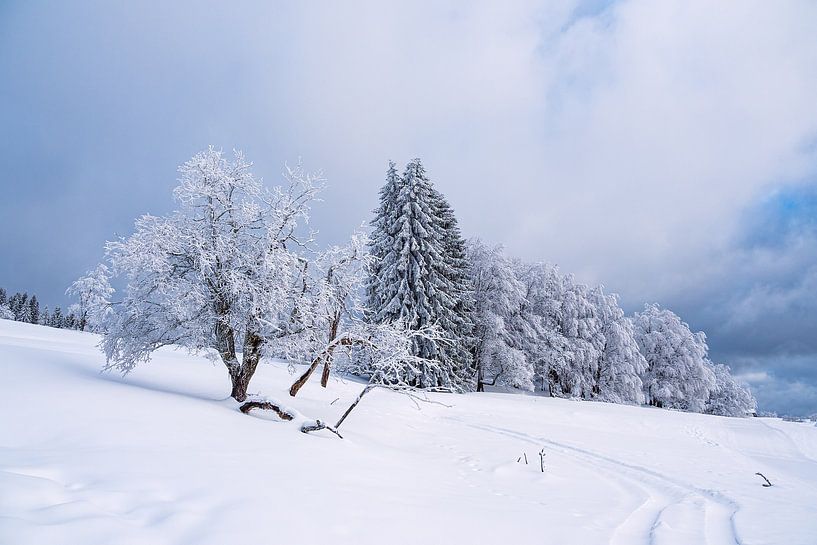 Paysage en hiver dans la forêt de Thuringe par Rico Ködder