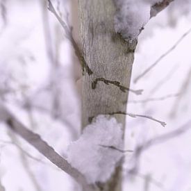 Winterlandschaft I von Art. by Janine