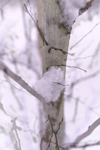 Abstracte fotografie | Minimalisme | Winterlandschap I