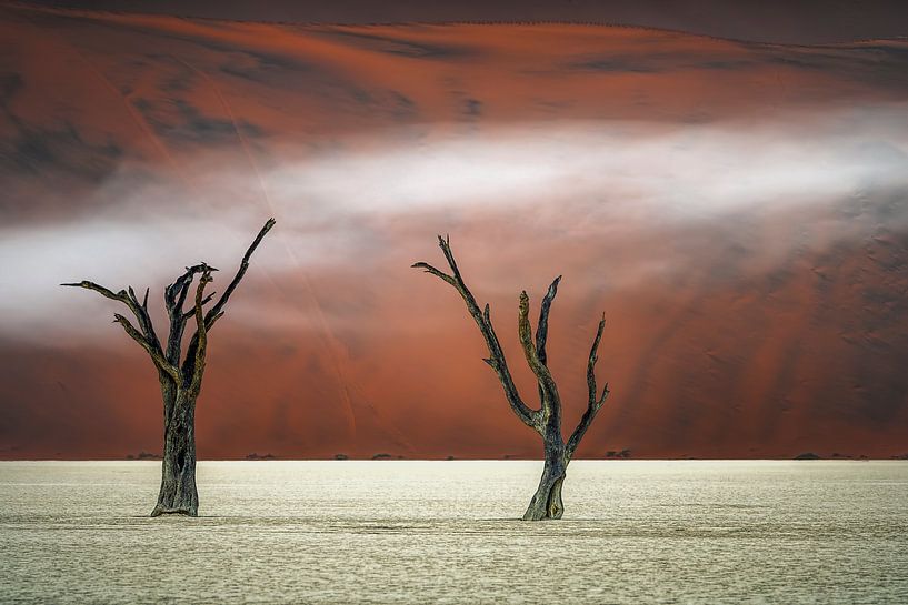 Mist in Deadvlei van Peter Poppe