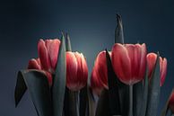 Stilleven van Hollandse tulpen van Bastiaan Veenstra thumbnail