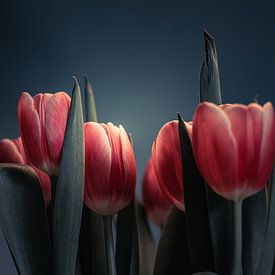 Stilleven van Hollandse tulpen van Bastiaan Veenstra