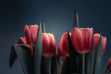Stilleben mit holländischen Tulpen von Bastiaan Veenstra