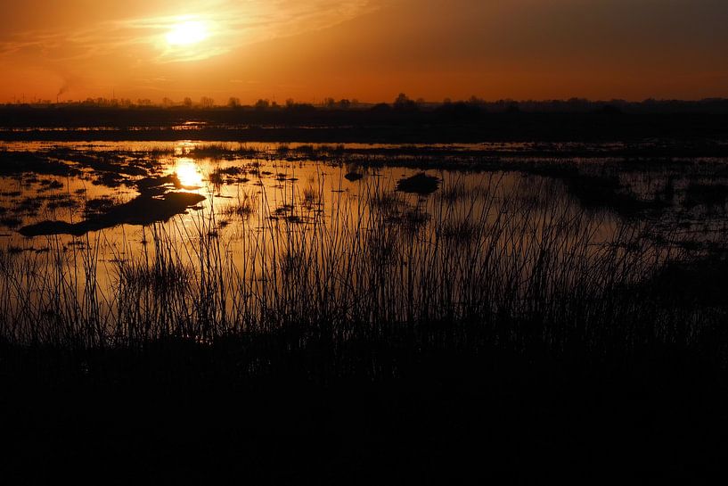 Golden sunset in the Hammen lowlands by Katrin May