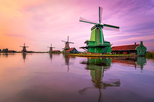 The Zaanse Schans in the evening light.