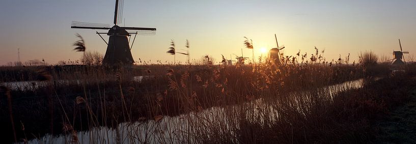 Kinderdijk windmills panorama by Angel Flores
