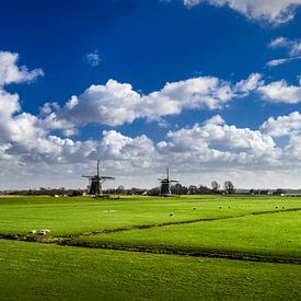 The Three Mills | Nieuwe Driemanspolder | Panorama
