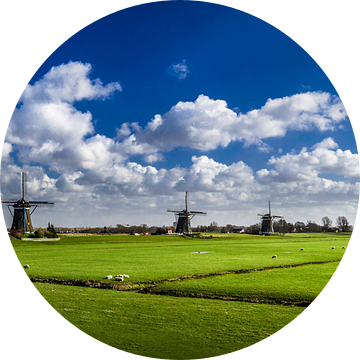 De Molendriegang in Leidschendam | Nieuwe Driemanspolder | Panoramafoto van Ricardo Bouman
