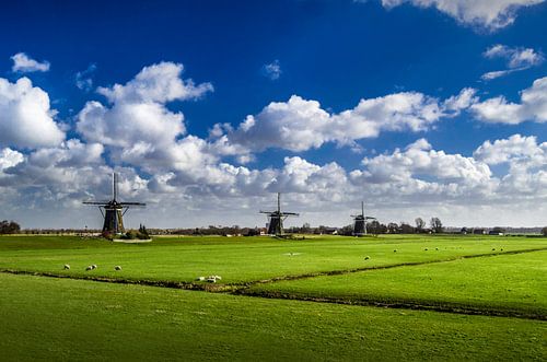 De Molendriegang in Leidschendam | Nieuwe Driemanspolder | Panoramafoto van Ricardo Bouman