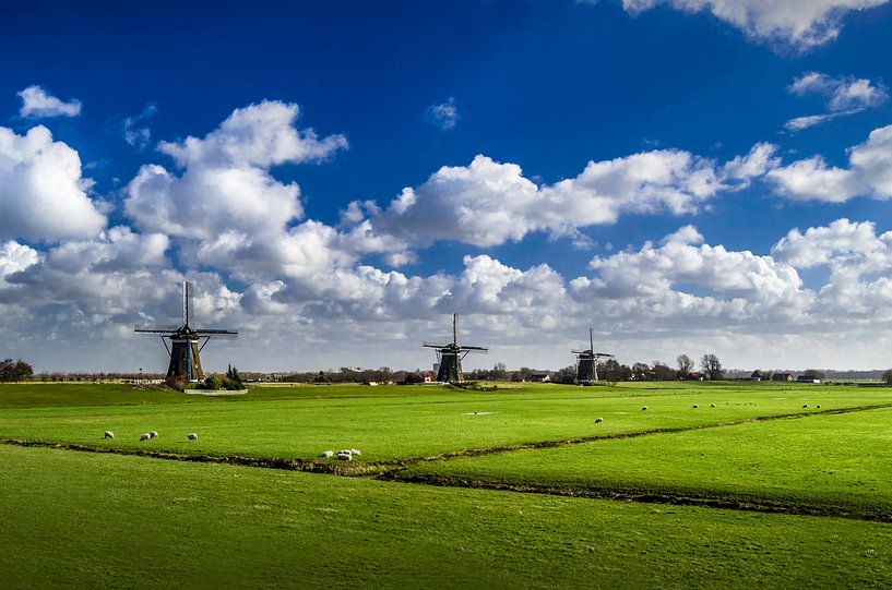 The Three Mills | Nieuwe Driemanspolder | Panorama by Ricardo Bouman Photography
