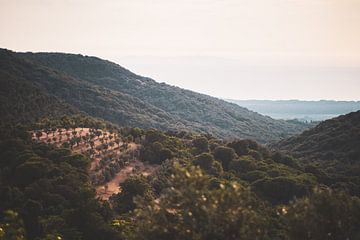 Toscaans landschap van S van Wezep