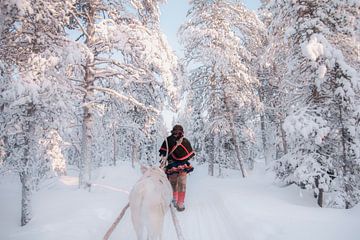 Sami reindeer herder in the forest | travel photography print | Lapland Sweden by Kimberley Jekel