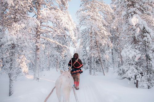 Gardien de rennes sami dans la forêt | photographie de voyage | Laponie Suède