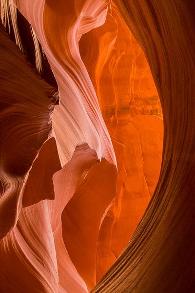 Canyon by Luuk Belgers