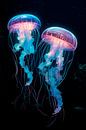 Marine life by Richards Fine Art thumbnail