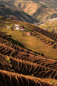 Douro Valley – Portugal
