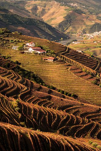 Vallée du Douro - Portugal